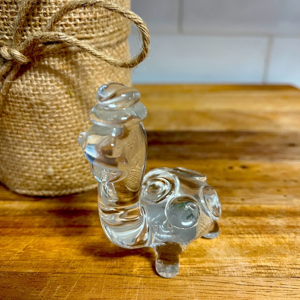 Glass Turtle